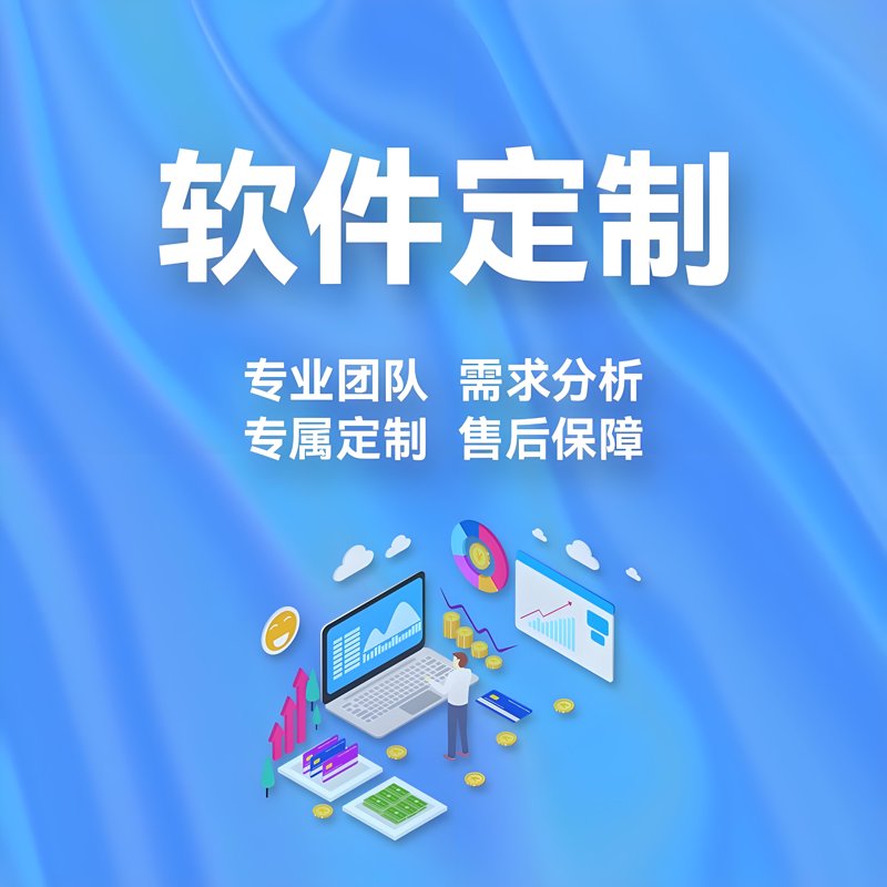 定制开发：构建企业信息化快车道